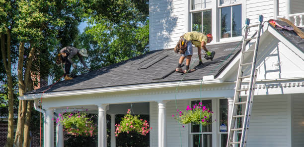 Best Roof Gutter Cleaning  in Muncie, IN